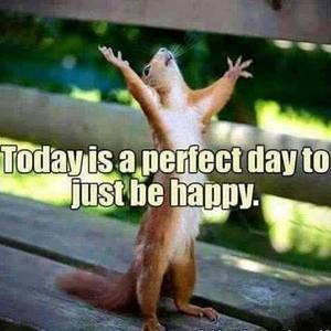 Meet your Posher, Tianna